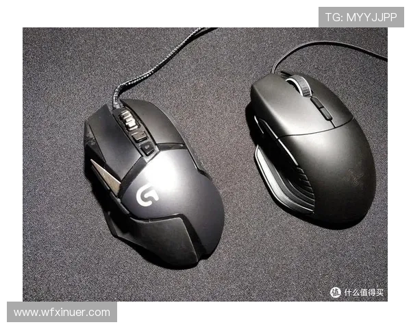 从零起步掌握CSGO耐力技巧全方位指南与实战经验分享