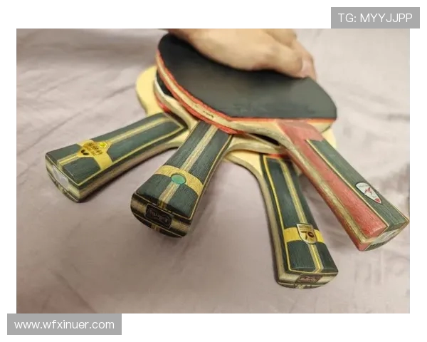 乒乓球装备选购指南及训练器材推荐助你提升竞技水平