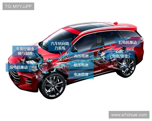 北京网球队的运营分析与发展策略探讨及其面临的挑战与机遇