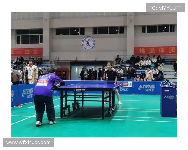 南京乒乓球队精英赛耐力表现分析与赛后总结探讨