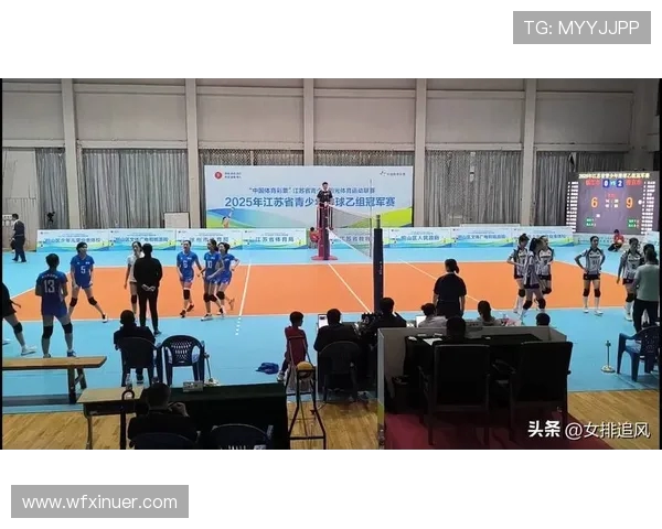 南京排球队的速度之美探索与分析排球运动的魅力与挑战