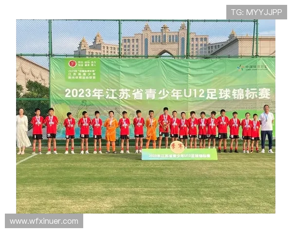 南京足球队的转型之路：从传统到现代的全面革新探讨