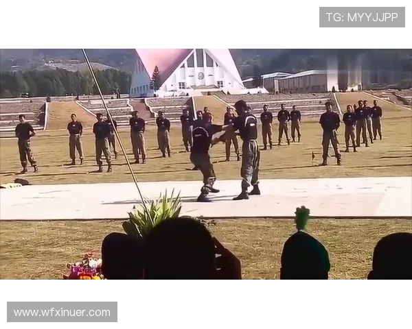 武汉滑板队反击战术解析与实战应用全景剖析