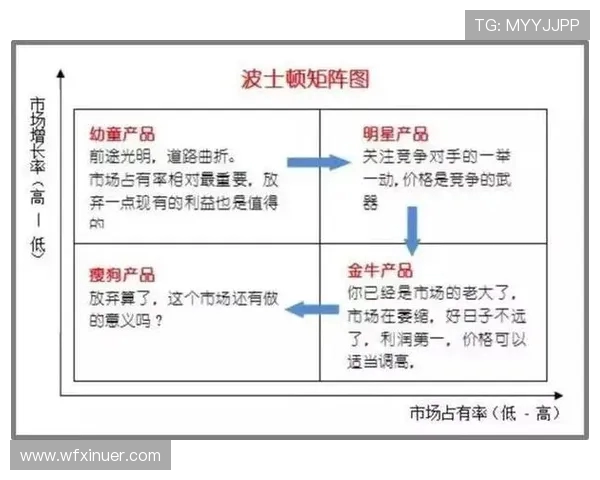深入分析上海飞盘队的运营策略与发展模式探讨