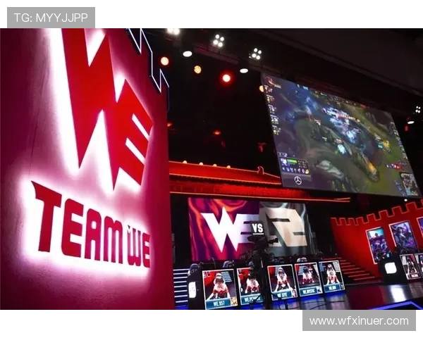 职业联赛分析：WE战队战术布局与表现深度解析