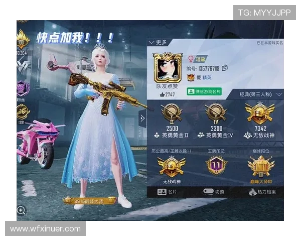 聚焦和平精英技术创新与FPX团队的卓越表现分析