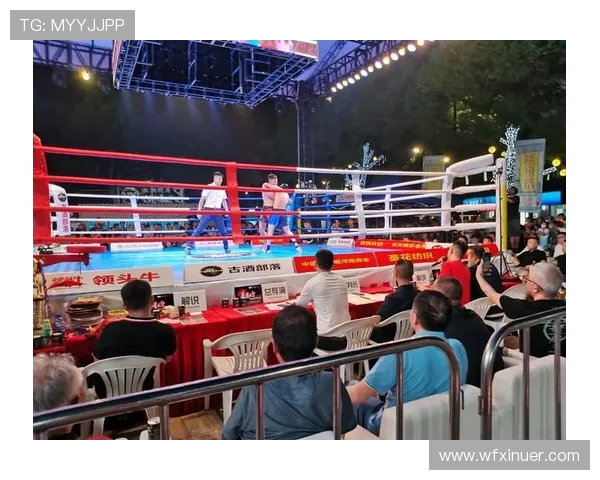 曙太郎与崔洪万的巅峰对决谁将成为搏击界的新传奇