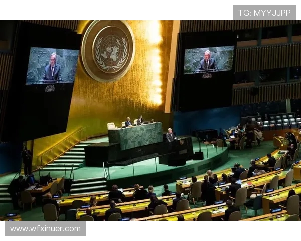 赖斯的崛起与挑战:探索其在国际舞台上的影响力与未来发展方向