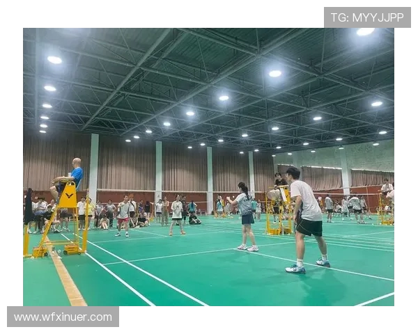 赛后分析：杭州羽毛球队与南京羽毛球队在灵活性上的较量与启示