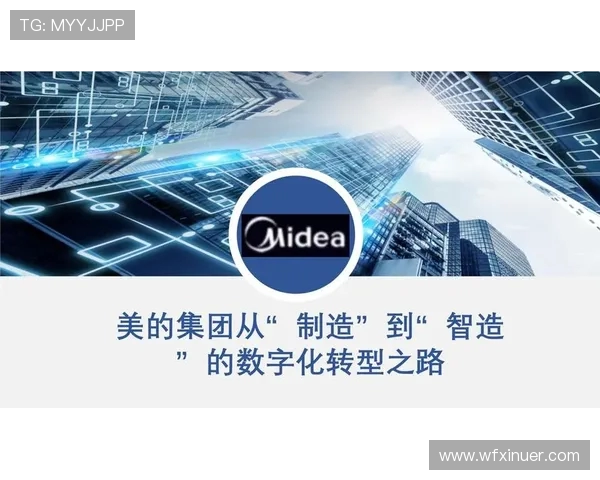 杭州排球队的转型之路：从传统强队到现代化竞技新标杆